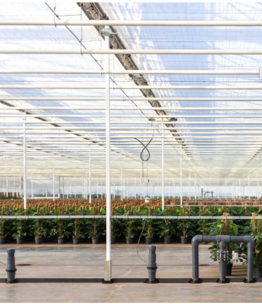 Scherm­afbeelding 2026-03-18 om 11.03.13